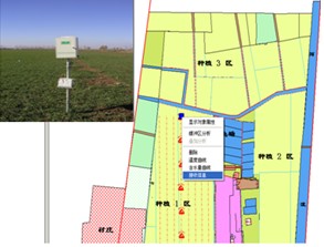 oc(din)麵錍(sh)rO(jin)yϵy(tng)O(jin)yxϵy(tng) TZS-GSM
